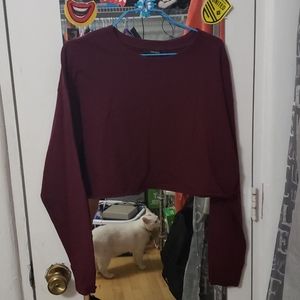 cropped long sleeve